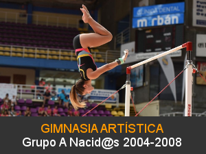 Gimnasia Artística 2004-208 Grupo A