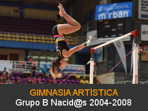 Gimnasia Artistica 2004-2008 Grupo B