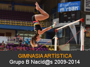 Gimnasia Artistica 2009-2014 Grupo B